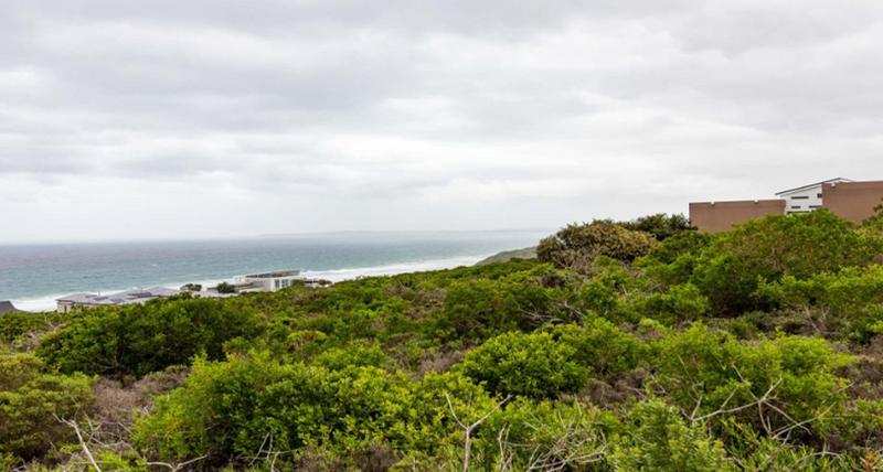 0 Bedroom Property for Sale in Dana Bay Western Cape